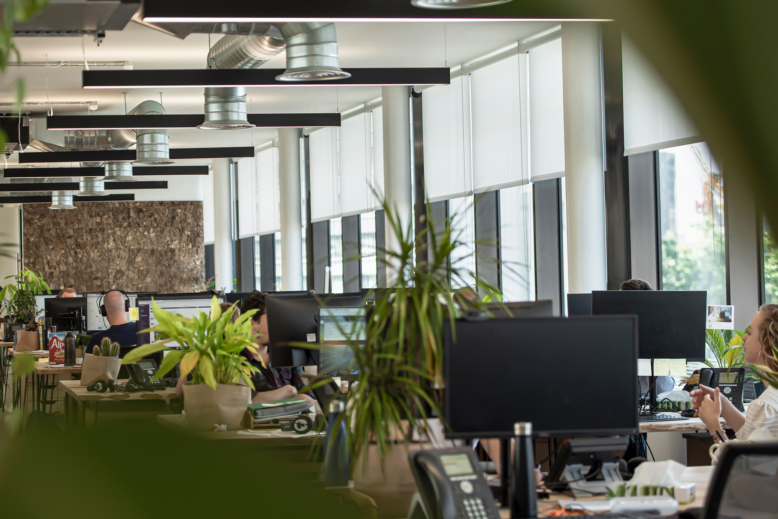 Decorquip white roller blinds partially lowered across large windows in an open-plan office