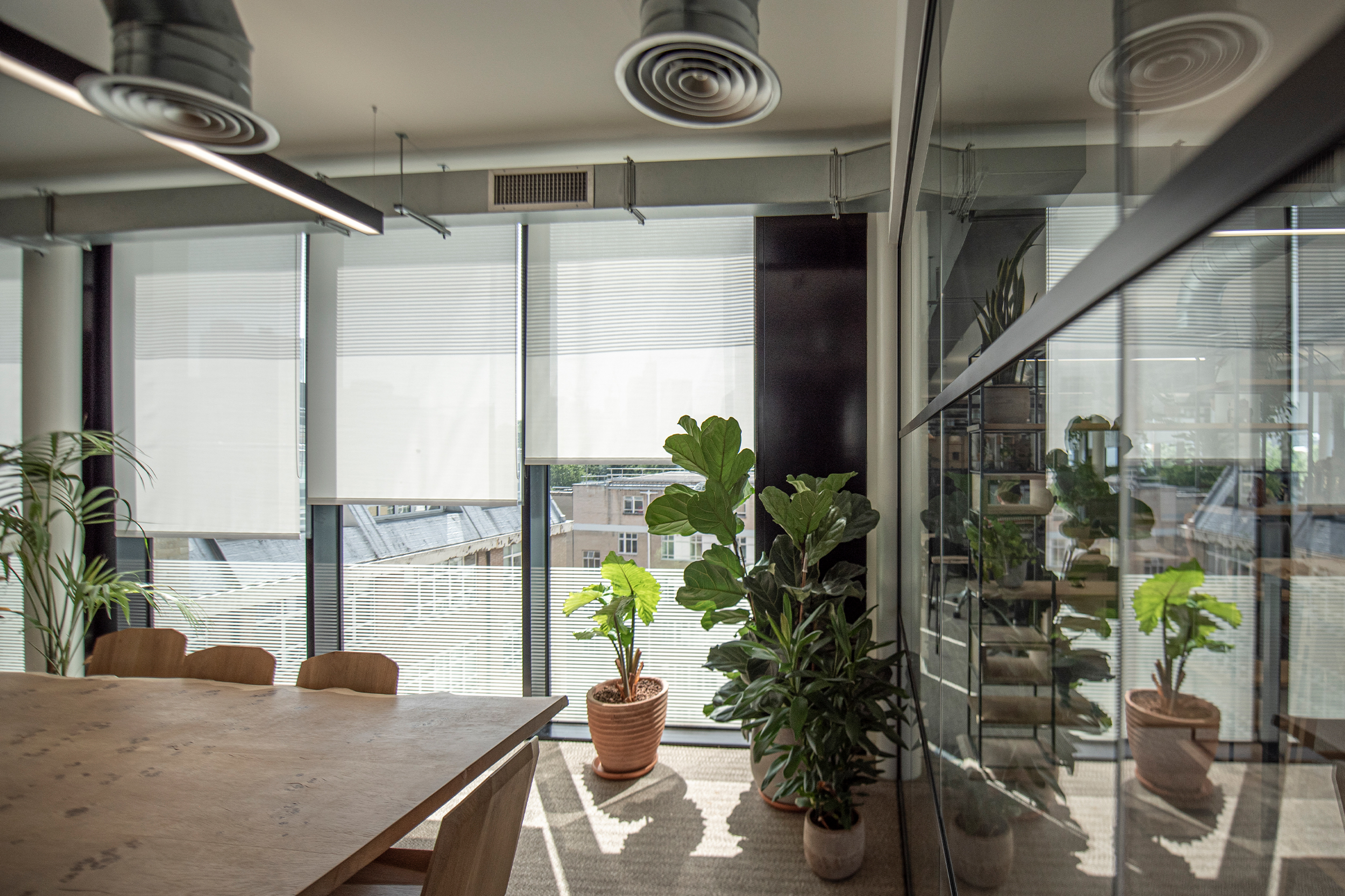 Decorquip white roller blinds partially lowered across large windows in an open-plan office