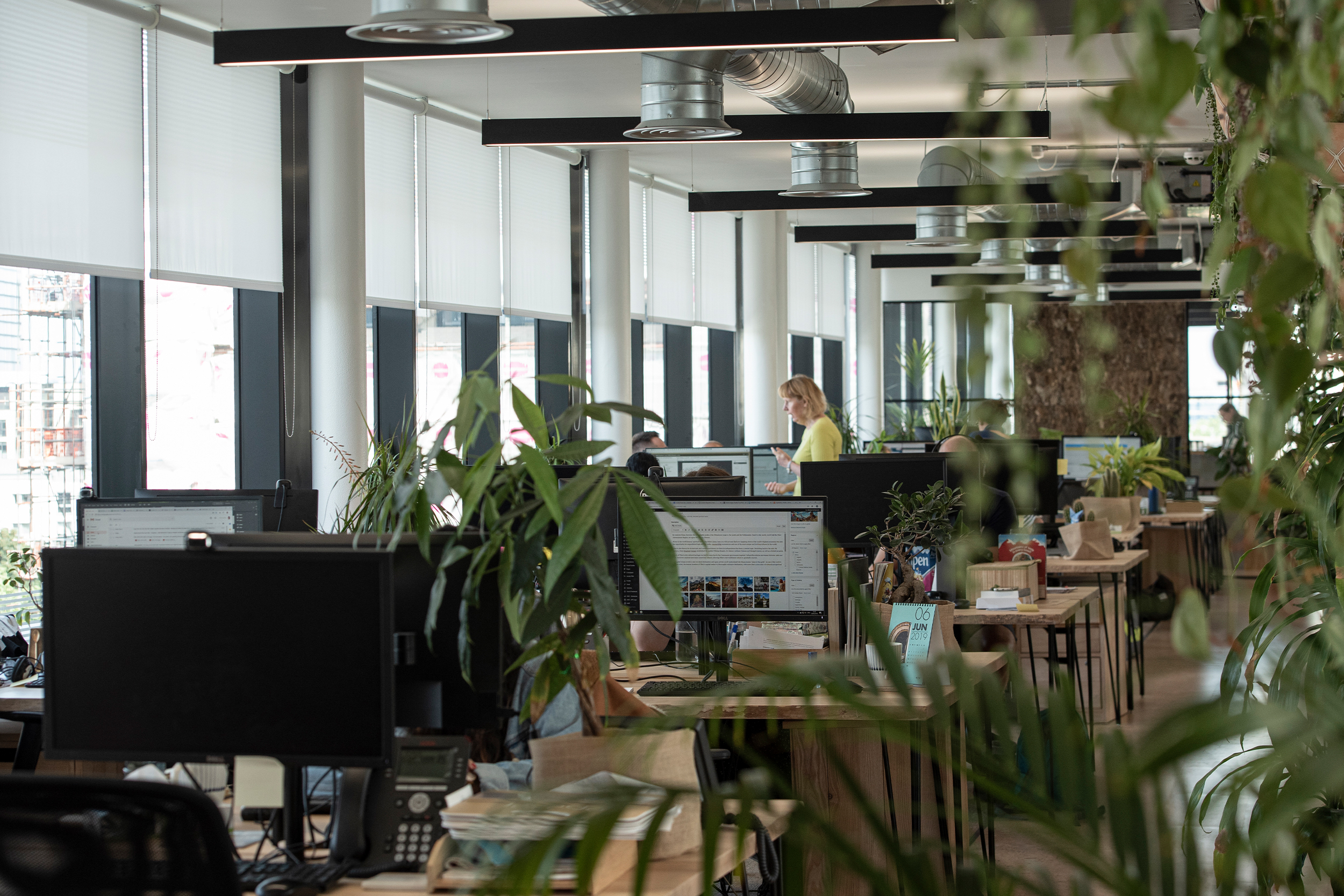 Decorquip white roller blinds partially lowered across large windows in an open-plan office